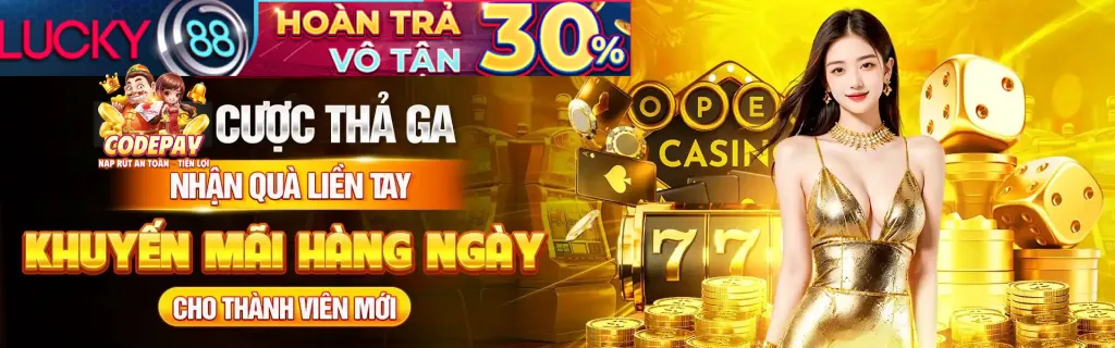 Chương trình VIP Bayvip APK