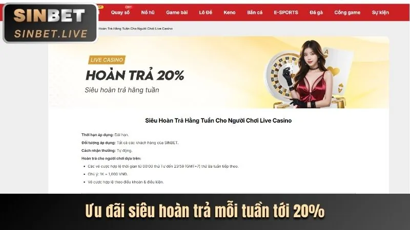 Đại diện dịch vụ khách hàng sẵn sàng hỗ trợ